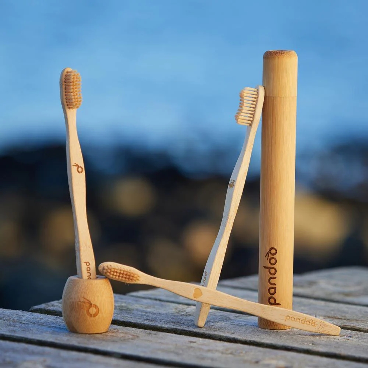 Zahnbürsten aus Bambus